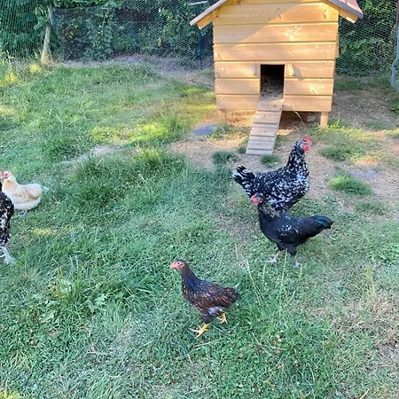 La Petite Ferme De Roumare Villa Buitenkant foto