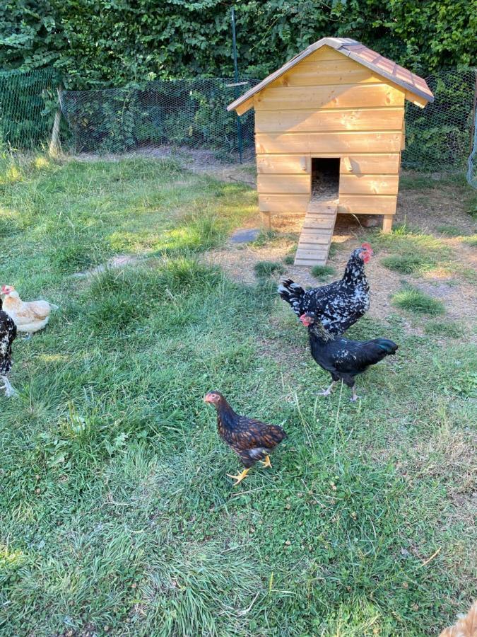 La Petite Ferme De